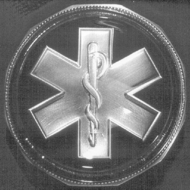 Pewter EMS Symbol Paperweight - Click Image to Close